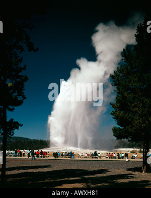 Geyser Old Faithful schizzi di acqua surriscaldata e vapore skyward nel Parco Nazionale di Yellowstone in Wyoming hourly Foto Stock