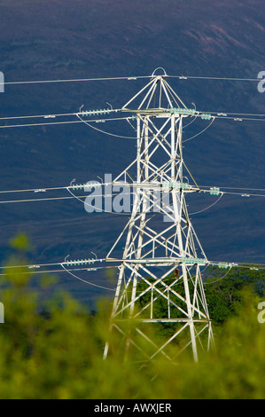 Pilone di elettricità nelle Highlands scozzesi, in Glen More nei Cairngorms Foto Stock