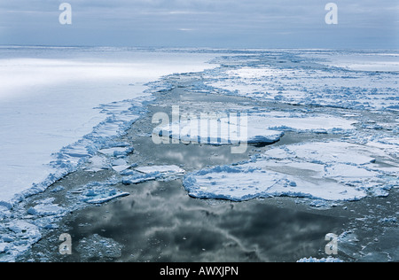 L'Antartide, Mare di Weddell, Glaçon, nuvole riflettono in acqua Foto Stock