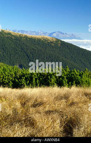 Vysoke Tatry Alti Tatra da Nizke Tatry Bassi Tatra, nuvole di inversione Foto Stock