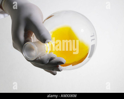 Persona che indossa guanti di gomma la miscelazione del liquido giallo in pallone da laboratorio, vicino, studio shot Foto Stock