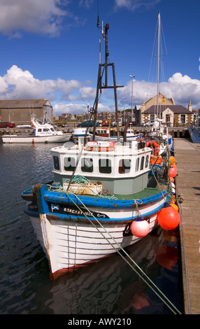 Dh Harbour KIRKWALL ORKNEY barche da pesca barche da diporto legato lungo la banchina di pontili Foto Stock