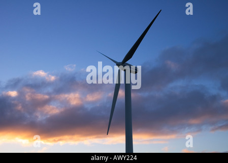 Dh turbina eolica Energia elettrica UK Vesa piccola turbina eolica Northfield Burray Orkney al tramonto Foto Stock