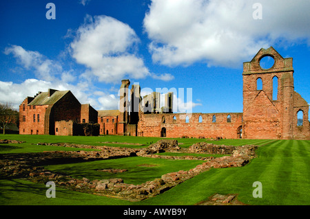 Rovine di Arbroath Abbey, di Angus in Scozia. Fondata nel XII secolo. Foto Stock