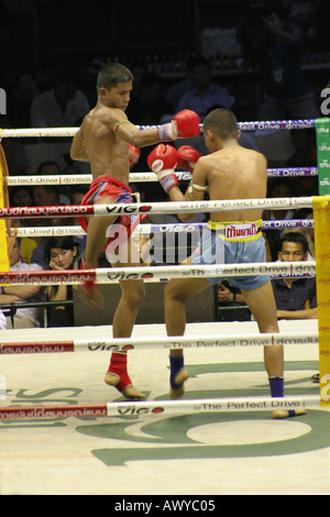 Muay Thai (Thai boxe) stadio Lumpini Bangkok Foto Stock