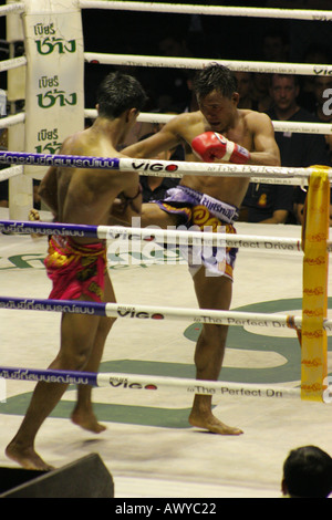 Muay Thai (Thai boxe) stadio Lumpini Bangkok Foto Stock