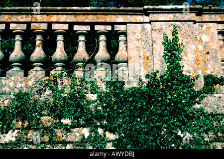 Liane sulla balaustra in pietra nel giardino di casa Inglese di campagna Foto Stock