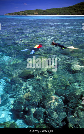 I subacquei sulla superficie della barriera corallina laguna, Lizard Island, Great Barrier Reef Marine Park, Queensland, Australia Foto Stock