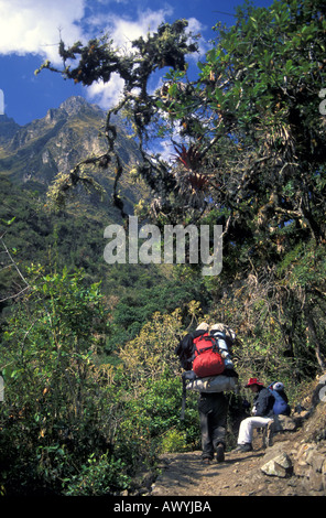 Ecotourists escursioni attraverso il cloud sentiero forestale di donna morta passa il punto più alto sul cammino degli Inca alla scoperta di Machu Picchu Perù Foto Stock