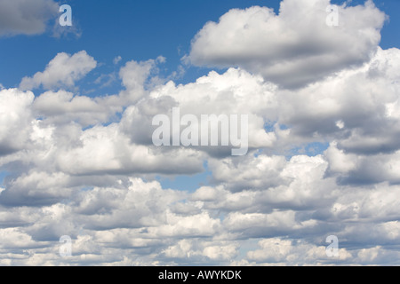 Densa copertura di nuvole bianche su cielo blu , Finlandia Foto Stock