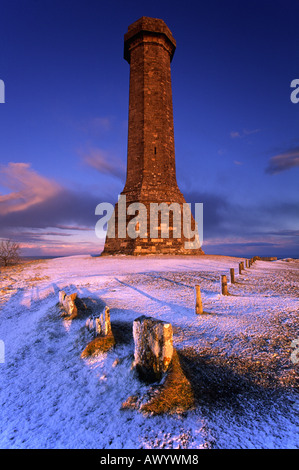 Il monumento eretto nel 1846 a vice ammiraglio sir Thomas Masterman Hardy, vicino a Dorchester Dorset, Foto Stock