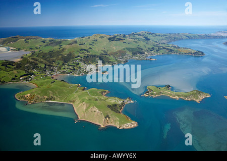 Portobello Penisola Penisola di Otago e la quarantena isola il porto di Otago Dunedin Isola del Sud della Nuova Zelanda antenna Foto Stock