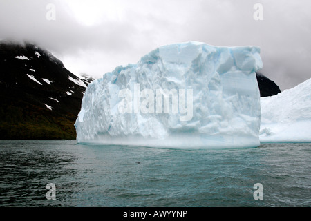 Iceberg al largo dell'isola di Georgia del Sud, vicino l'antartide Foto Stock