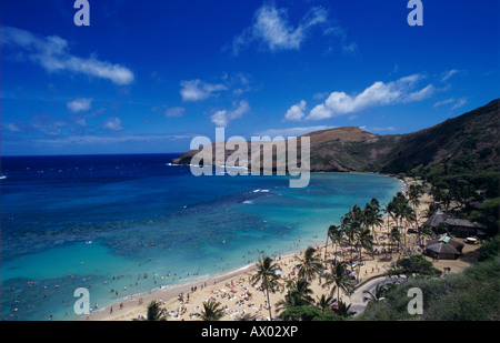 Hanauma Bay Oahu Hawaii STATI UNITI D'AMERICA AGOSTO 1996 Foto Stock