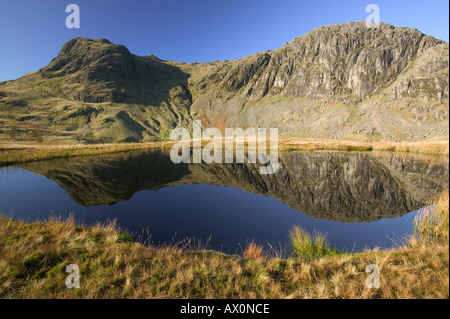 Pavey Ark e Harrison Stickle in The Langdale valley si riflette in una piccola tarn Foto Stock