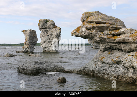 Formazioni calcaree a Gamle Hamn sull isola di Fårö, Gotland in Svezia Foto Stock