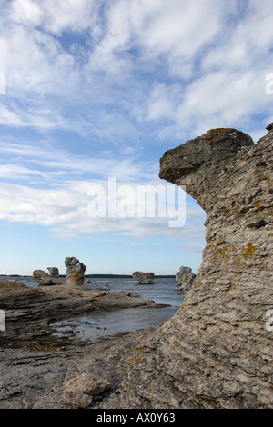 Formazioni calcaree a Gamle Hamn sull isola di Fårö, Gotland in Svezia Foto Stock