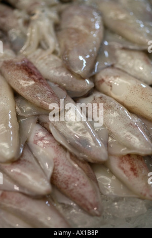 Seppia cruda Foto Stock