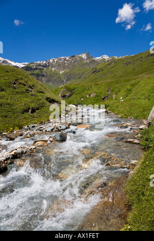 Ruscello di montagna, mountain brook presso la Strada alpina del Grossglockner, parco nazionale Hohe Tauern, Carinzia, Austria Foto Stock