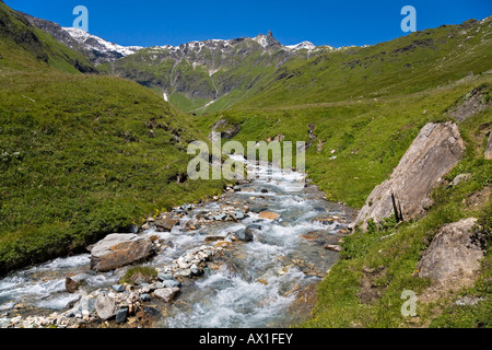 Ruscello di montagna, mountain brook presso la Strada alpina del Grossglockner, parco nazionale Hohe Tauern, Carinzia, Austria Foto Stock