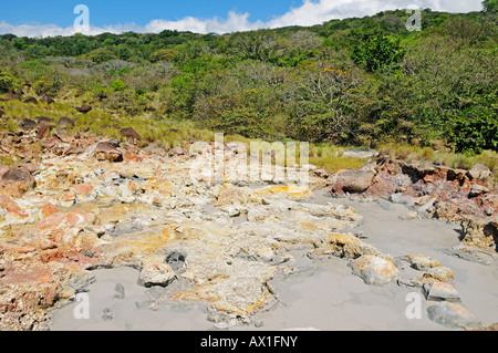 Volcanic hot springs con fango e zolfo, Rincon de la Vieja National Park, Costa Rica, America Centrale Foto Stock