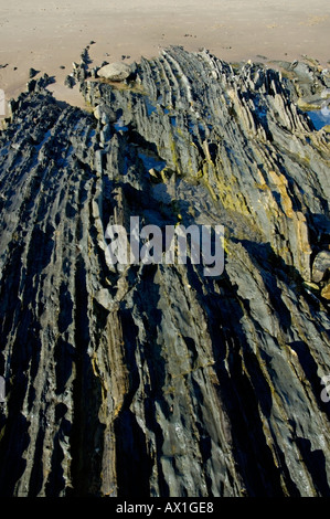 Tarifa bassa marea su una roccia a Playa de los lances Foto Stock