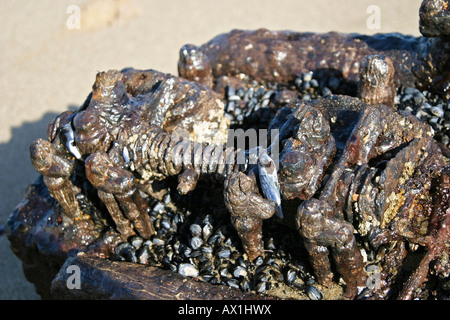 Il vecchio forte arrugginita parti del motore in sabbia, diamond area vietata, Saddlehill, Namibia, Africa Foto Stock