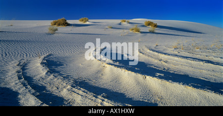 Dune di sabbia White Sands National Monument Nuovo Messico USA Foto Stock