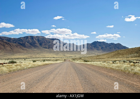 Gravelroad nel sud della Namibia, Africa Foto Stock