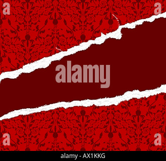 Fiore la configurazione di sfondo sulla carta strappata Foto Stock