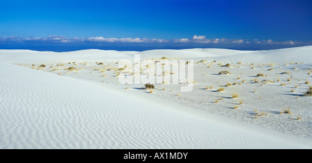 Dune di sabbia White Sands National Monument Nuovo Messico USA Foto Stock