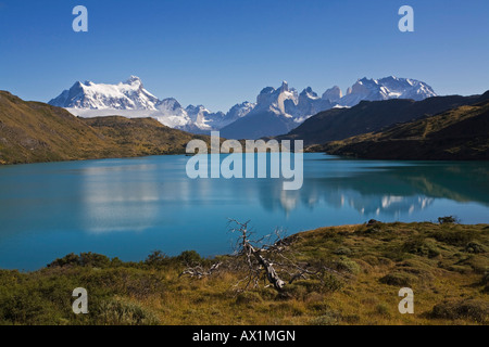 Paesaggio di Torres del Paine montagne, parco nazionale Torres del Paine, Patagonia, Cile, Sud America Foto Stock