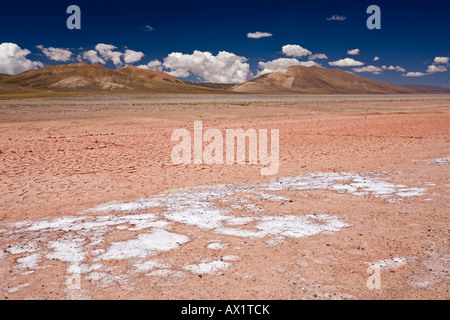 Il paesaggio del deserto, Jama pass (Paso de jama), Argentina, Sud America Foto Stock