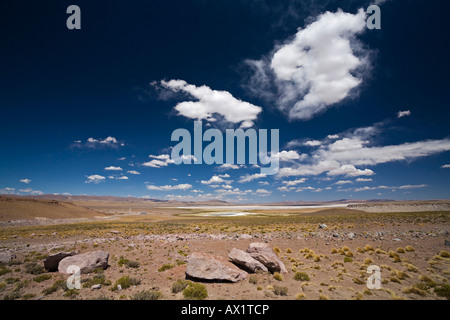 Il paesaggio del deserto, Jama pass (Paso de jama), Argentina, Sud America Foto Stock