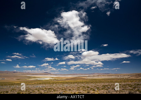 Il paesaggio del deserto, Jama pass (Paso de jama), Argentina, Sud America Foto Stock