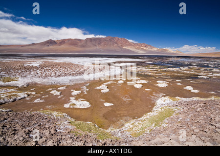 Multi-colore di Salt Lake Salar de Aguas Calientes, Jama pass (Paso de jama), Altiplano, Cile, Sud America Foto Stock