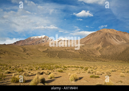 Paesaggio di montagna nel parco nazionale Lauca sulla strada per il parco nazionale Reserva Nacional Las Vicunas, Cile, Sud America Foto Stock