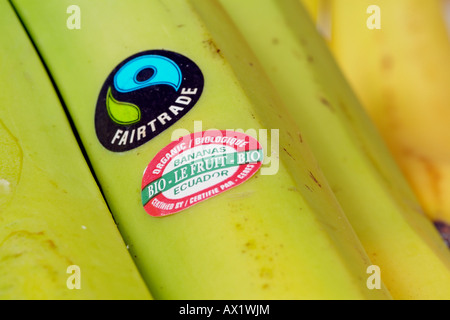 Fairtrade Banana con adesivo prodotto Fairtrade Banana organico etichetta Bio Ecuador Certificazioni Foto Stock