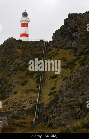 Faro di Cape Palliser vicino a Wellington, Isola del nord, Nuova Zelanda, Oceania Foto Stock