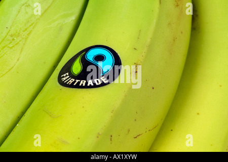 Fairtrade Banana con etichetta del prodotto Foto Stock