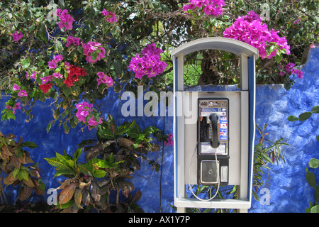 Telefono a pagamento, Playa del Carmen, Messico Foto Stock