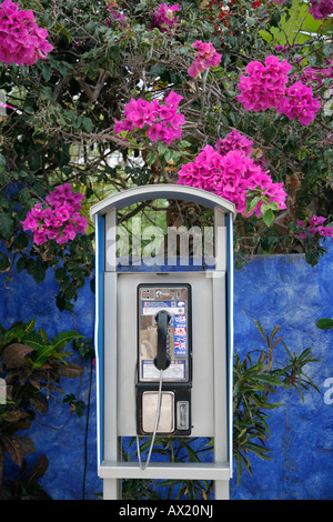 Telefono a pagamento, Playa del Carmen, Messico Foto Stock