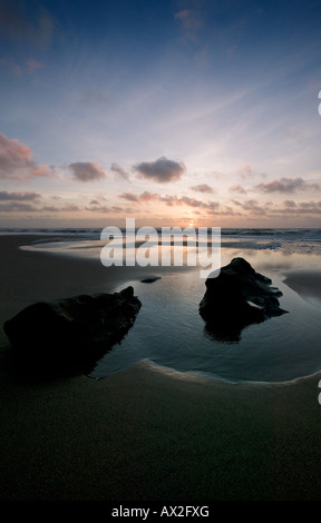 Pomponio membro spiaggia al tramonto Foto Stock