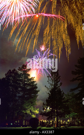 Gli spettatori a guardare i fuochi d'artificio sul quarto di luglio Sparta New Jersey Foto Stock