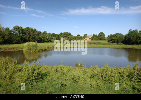 Un stagno di Manor Farm SOMERSET dal progettista di giardini SIMON JOHNSON REGNO UNITO Foto Stock