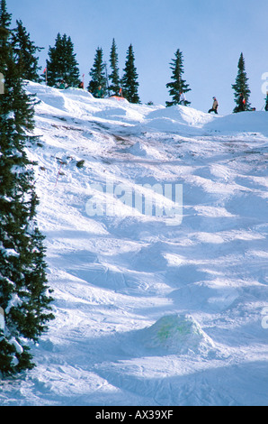 Rocce gobbe e un salto su uno scivolo ski run doppio Black Diamond Steamboat Springs CO USA Foto Stock