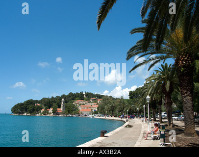 Lungomare di Cavtat, Riviera di Dubrovnik, Dalmazia, Croazia Foto Stock