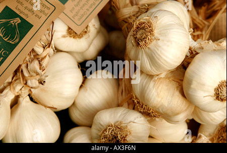 In trecce di produzione biologica l'aglio in un mercato degli agricoltori in stallo Foto Stock