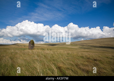 Maen Llúria pietra in piedi vicino a Ystradfellte Powys Foto Stock