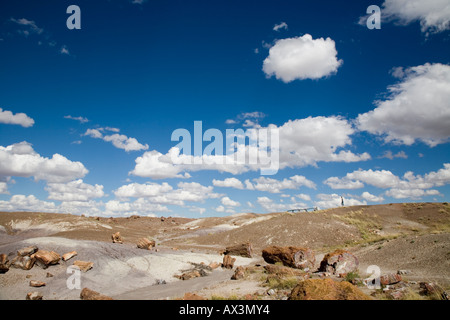 Petrified Forest National Park, Arizona, a est di Flagstaff Foto Stock